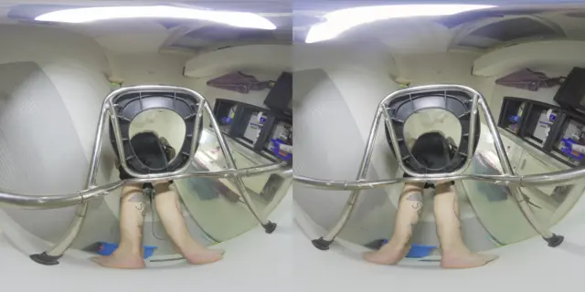You are my toilet 8K VR