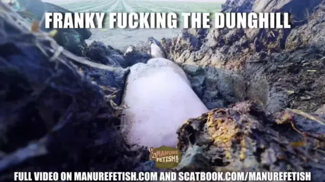Franky Fucking The Dunghill