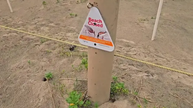 Dump In The Dunes